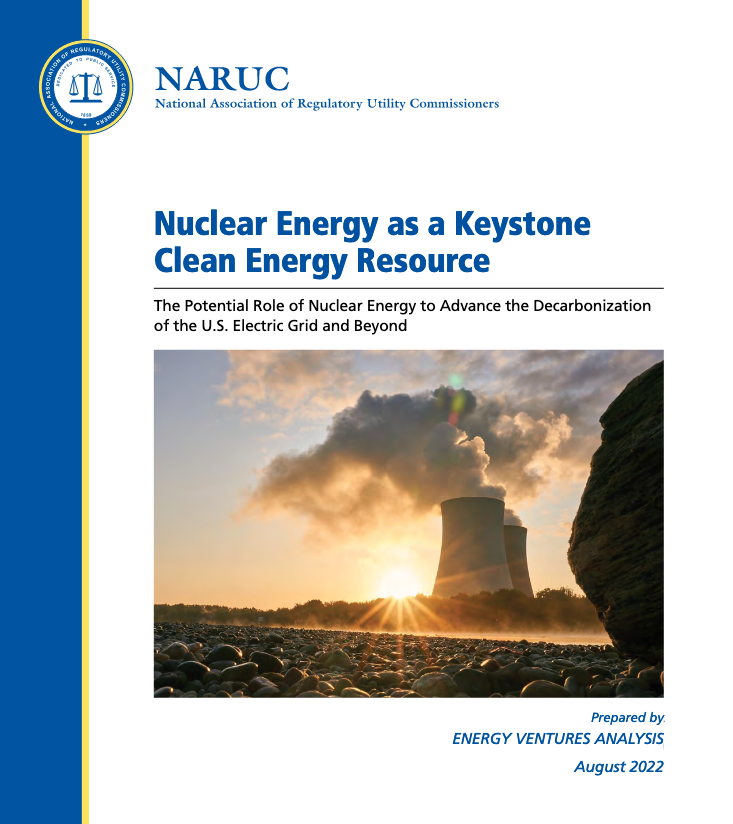 Image and link for NARUC Report